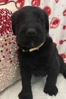 processed/64d938d8-bc0d-4e37-a60c-f10150c2a3f6/listing/799a1b6d-665c-4c41-997a-c93a9d36671b/199f27cb-22a7-43aa-af95-aa3a0a043097