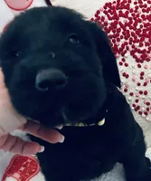 processed/64d938d8-bc0d-4e37-a60c-f10150c2a3f6/listing/799a1b6d-665c-4c41-997a-c93a9d36671b/742b1130-e80f-48e4-92f6-974478f35306