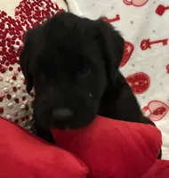 processed/64d938d8-bc0d-4e37-a60c-f10150c2a3f6/listing/799a1b6d-665c-4c41-997a-c93a9d36671b/a89b34a0-5ca2-4dcf-acd0-b8abb1dfad40