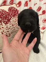 processed/64d938d8-bc0d-4e37-a60c-f10150c2a3f6/listing/799a1b6d-665c-4c41-997a-c93a9d36671b/db50a1ef-52a2-4dce-81d5-98b57a804692