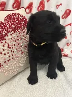 processed/64d938d8-bc0d-4e37-a60c-f10150c2a3f6/listing/799a1b6d-665c-4c41-997a-c93a9d36671b/dfbdf68e-9e61-4ceb-a695-da95186efb77