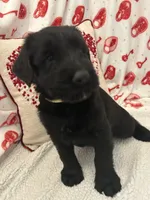 processed/64d938d8-bc0d-4e37-a60c-f10150c2a3f6/listing/799a1b6d-665c-4c41-997a-c93a9d36671b/f1814b97-0356-46c2-88ba-324fecefc4c1