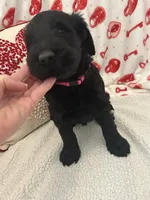 processed/64d938d8-bc0d-4e37-a60c-f10150c2a3f6/listing/8e6dbf69-5a58-4f65-b5a7-ac1a5697a03f/31a96a7d-5c55-48c0-97c2-f1299c6c10a1