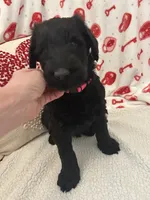 processed/64d938d8-bc0d-4e37-a60c-f10150c2a3f6/listing/8e6dbf69-5a58-4f65-b5a7-ac1a5697a03f/3fab60b5-60d0-480d-9fa3-4923f7486689