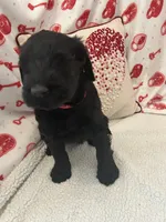 processed/64d938d8-bc0d-4e37-a60c-f10150c2a3f6/listing/8e6dbf69-5a58-4f65-b5a7-ac1a5697a03f/e5f23592-1550-419d-a68b-0c850d64b988