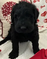 processed/64d938d8-bc0d-4e37-a60c-f10150c2a3f6/listing/913fa2dc-01f3-416b-8f53-01d52ecbe4d3/42788e02-803f-4c0a-afc5-58019aa62957