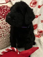 processed/64d938d8-bc0d-4e37-a60c-f10150c2a3f6/listing/913fa2dc-01f3-416b-8f53-01d52ecbe4d3/42bfc075-7704-43be-a5c6-005032b900dc