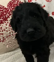 processed/64d938d8-bc0d-4e37-a60c-f10150c2a3f6/listing/913fa2dc-01f3-416b-8f53-01d52ecbe4d3/6f4b5f87-1c95-47a4-a3eb-5bf719082eda