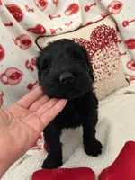 processed/64d938d8-bc0d-4e37-a60c-f10150c2a3f6/listing/913fa2dc-01f3-416b-8f53-01d52ecbe4d3/9777330b-01ff-4f42-837c-52a74202c56d