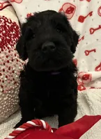 processed/64d938d8-bc0d-4e37-a60c-f10150c2a3f6/listing/913fa2dc-01f3-416b-8f53-01d52ecbe4d3/c79c4c47-56c6-4d33-931a-ca3ab223e679