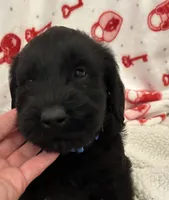 processed/64d938d8-bc0d-4e37-a60c-f10150c2a3f6/listing/9abb78de-e994-4443-a41b-242eff91e9f1/073d2e31-6281-4a65-82ac-5fb30682ac62