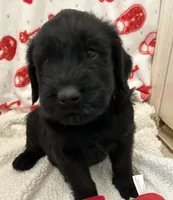 processed/64d938d8-bc0d-4e37-a60c-f10150c2a3f6/listing/9abb78de-e994-4443-a41b-242eff91e9f1/0d64d054-4259-4e85-8b5a-762168e5dc47