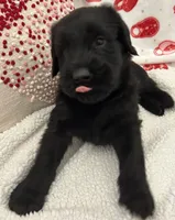 processed/64d938d8-bc0d-4e37-a60c-f10150c2a3f6/listing/9abb78de-e994-4443-a41b-242eff91e9f1/179f3568-e964-407d-9a31-c30ee7bd7d1c