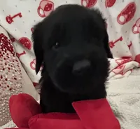 processed/64d938d8-bc0d-4e37-a60c-f10150c2a3f6/listing/9abb78de-e994-4443-a41b-242eff91e9f1/58f97220-035a-4c6a-8b84-1269969f856d