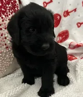 processed/64d938d8-bc0d-4e37-a60c-f10150c2a3f6/listing/9abb78de-e994-4443-a41b-242eff91e9f1/651b96d3-9633-456f-b74d-57c56420edf8