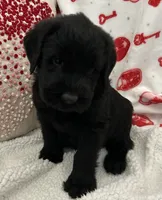 processed/64d938d8-bc0d-4e37-a60c-f10150c2a3f6/listing/9abb78de-e994-4443-a41b-242eff91e9f1/87d15620-21d0-48a5-9f98-b943b4e64eb0