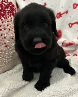 processed/64d938d8-bc0d-4e37-a60c-f10150c2a3f6/listing/9abb78de-e994-4443-a41b-242eff91e9f1/9cbc80f5-ea26-4113-afd6-527021a77005