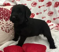 processed/64d938d8-bc0d-4e37-a60c-f10150c2a3f6/listing/9abb78de-e994-4443-a41b-242eff91e9f1/b020ff96-8e37-4c62-a535-918d39adfb28