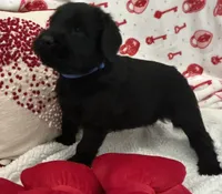 processed/64d938d8-bc0d-4e37-a60c-f10150c2a3f6/listing/9abb78de-e994-4443-a41b-242eff91e9f1/fc9e8b9b-3d37-4516-a265-fd53b8af26a3