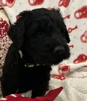 processed/64d938d8-bc0d-4e37-a60c-f10150c2a3f6/listing/b920a7c1-7cac-4814-a730-c4453603941b/14bd0f7d-d21d-4df2-bde2-5dcb088d54d0