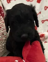 processed/64d938d8-bc0d-4e37-a60c-f10150c2a3f6/listing/b920a7c1-7cac-4814-a730-c4453603941b/1feff3e2-61b5-4342-95cc-9934e691f01d