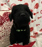 processed/64d938d8-bc0d-4e37-a60c-f10150c2a3f6/listing/b920a7c1-7cac-4814-a730-c4453603941b/2e89fe72-19e9-482c-bd6d-15a049175325