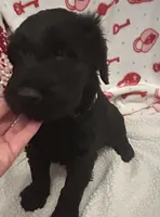 processed/64d938d8-bc0d-4e37-a60c-f10150c2a3f6/listing/b920a7c1-7cac-4814-a730-c4453603941b/444a4ac2-e8a6-48f6-b542-95e0ab88ef30