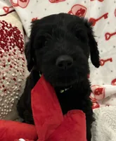 processed/64d938d8-bc0d-4e37-a60c-f10150c2a3f6/listing/b920a7c1-7cac-4814-a730-c4453603941b/842ce574-0644-4a6b-98ec-5b46eef56b7c