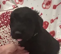 processed/64d938d8-bc0d-4e37-a60c-f10150c2a3f6/listing/b920a7c1-7cac-4814-a730-c4453603941b/95448cfe-25b9-4252-b4c5-570ed7bfcc55