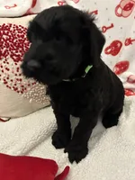 processed/64d938d8-bc0d-4e37-a60c-f10150c2a3f6/listing/b920a7c1-7cac-4814-a730-c4453603941b/def26560-089c-451e-8402-382908949b58