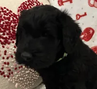 processed/64d938d8-bc0d-4e37-a60c-f10150c2a3f6/listing/b920a7c1-7cac-4814-a730-c4453603941b/ee42fa93-c659-4f2b-a9e0-a3983d2e4919