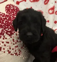 processed/64d938d8-bc0d-4e37-a60c-f10150c2a3f6/listing/e5c4808a-90d5-41a7-9738-fe9ce8e2aa5c/95258cc8-c3c6-40b9-8131-ae5def772b8e