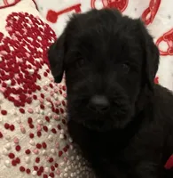 processed/64d938d8-bc0d-4e37-a60c-f10150c2a3f6/listing/e5c4808a-90d5-41a7-9738-fe9ce8e2aa5c/ac1618f8-5cc4-4e82-becd-444c8b5f92ed