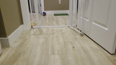 Facility video