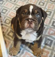 processed/64fa3a0f-b5ef-4107-91d0-d282dfca3a4e/listing/88278c27-aeda-4589-b0ab-26de25c3a560/19760970-7d5b-42e3-bbe3-efc52712bc8f