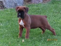 Facility photo