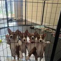 processed/6502d049-1193-45e3-805f-e8f64c619d3f/facility/139bf41f-b64b-47f9-844d-1f467aa81fbb