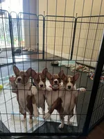 processed/6502d049-1193-45e3-805f-e8f64c619d3f/facility/139bf41f-b64b-47f9-844d-1f467aa81fbb