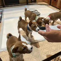 processed/6502d049-1193-45e3-805f-e8f64c619d3f/facility/4256a1f1-fd09-4283-8ccd-d1b75884a5e1