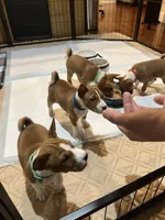 processed/6502d049-1193-45e3-805f-e8f64c619d3f/facility/4256a1f1-fd09-4283-8ccd-d1b75884a5e1