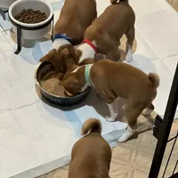 processed/6502d049-1193-45e3-805f-e8f64c619d3f/facility/42e7448c-ea7e-46de-af4c-36e744324097