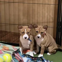 processed/6502d049-1193-45e3-805f-e8f64c619d3f/facility/4326a02e-cb10-49ca-ab3b-c2ceaf3768df