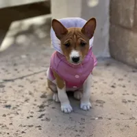 processed/6502d049-1193-45e3-805f-e8f64c619d3f/facility/65df106e-6c45-4b8a-86b9-b6af381d5755