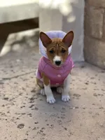 processed/6502d049-1193-45e3-805f-e8f64c619d3f/facility/65df106e-6c45-4b8a-86b9-b6af381d5755