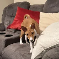 processed/6502d049-1193-45e3-805f-e8f64c619d3f/facility/7e01c3de-70f6-49d1-bd18-3b167fd5bc66