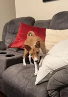 processed/6502d049-1193-45e3-805f-e8f64c619d3f/facility/7e01c3de-70f6-49d1-bd18-3b167fd5bc66