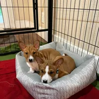 processed/6502d049-1193-45e3-805f-e8f64c619d3f/facility/8596bcf6-0ffd-4b82-b4ca-475bff4dd6b5