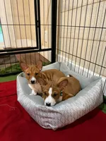 processed/6502d049-1193-45e3-805f-e8f64c619d3f/facility/8596bcf6-0ffd-4b82-b4ca-475bff4dd6b5