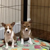 processed/6502d049-1193-45e3-805f-e8f64c619d3f/facility/9199559e-5d85-4a50-b48d-b8705b8ea451