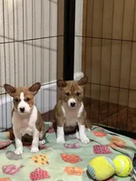 processed/6502d049-1193-45e3-805f-e8f64c619d3f/facility/9199559e-5d85-4a50-b48d-b8705b8ea451